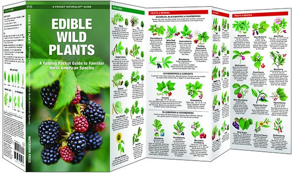 Edible Wild Plants Pocket guide