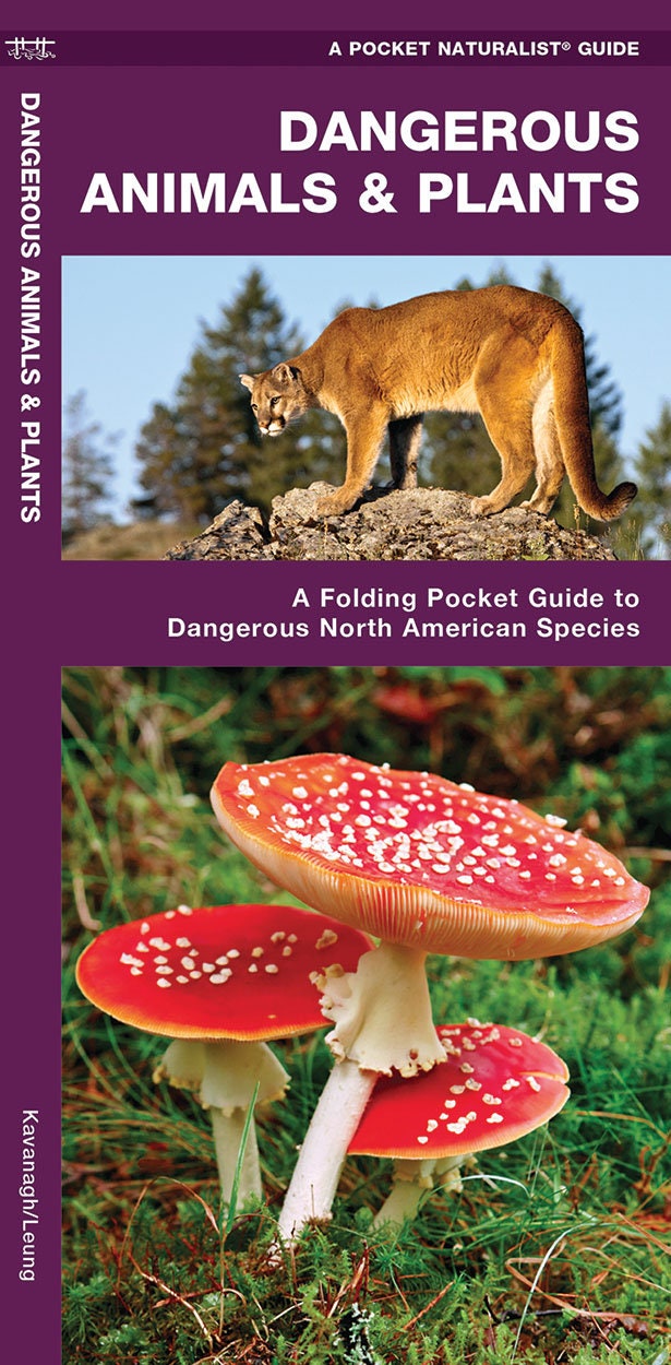 Dangerous Animals & Plants Pocket guide