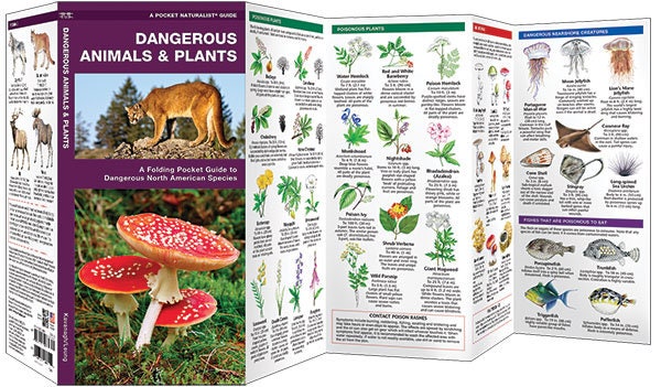 Dangerous Animals & Plants Pocket guide