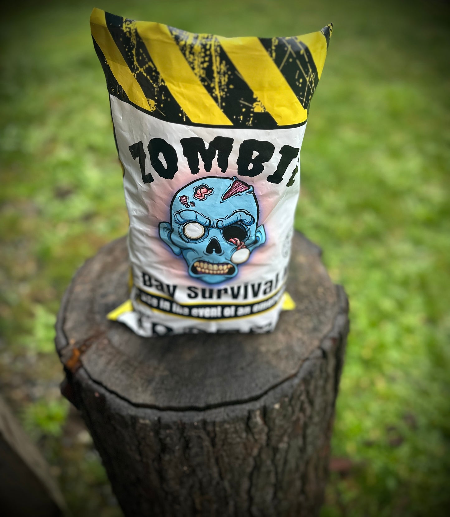 Z.P.A.K Zombie Preparedness Action Kit